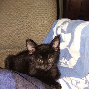 Meet your Posher, Nicky